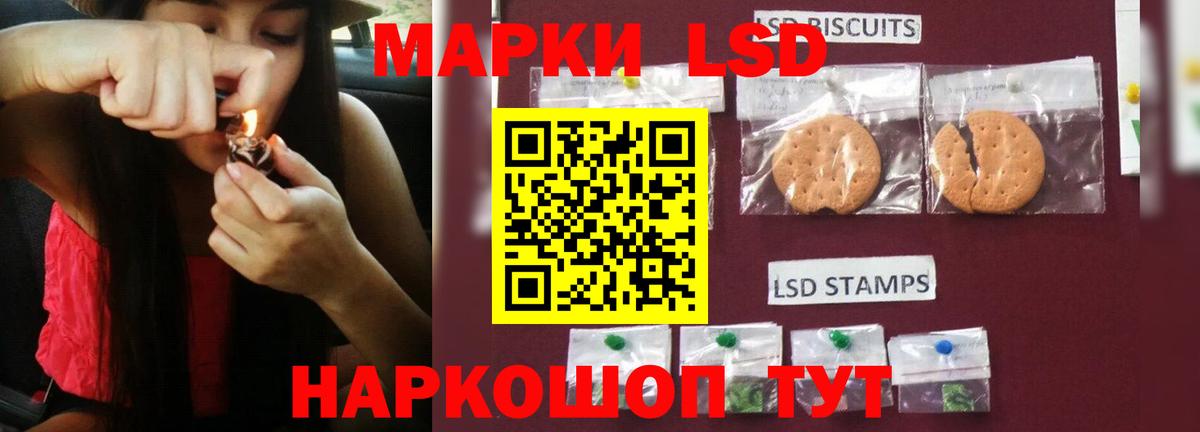 Гай  Лсд 25 экстази ecstasy  Вход с VPN  Лсд 25 экстази ecstasy 