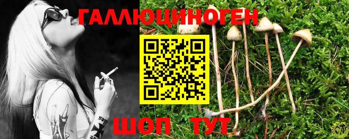 Галлюциногенные грибы MAGIC MUSHROOMS Гай